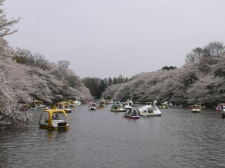 20070401.jpg
