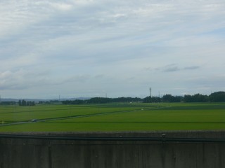 20110819-02.jpg