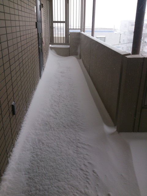 20140208_2.jpg