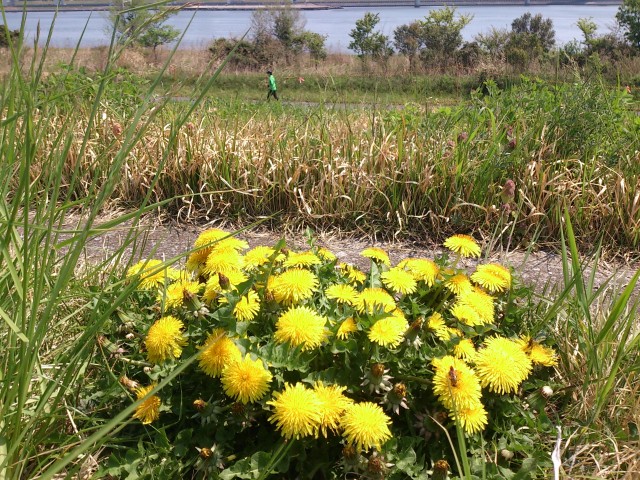20140419_3.jpg