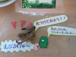 森のエビフライ