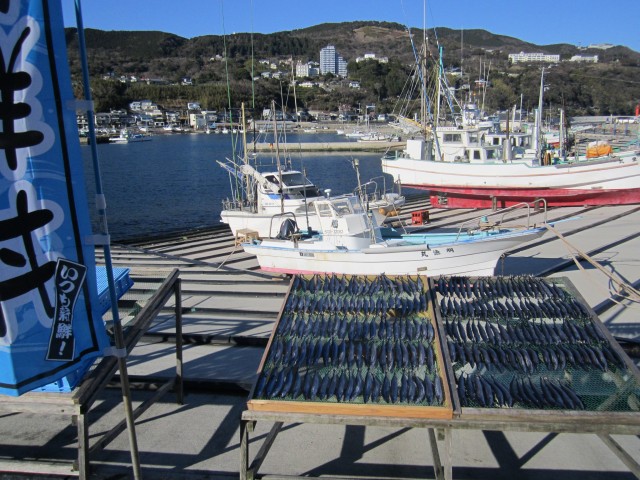izu2014005.jpg