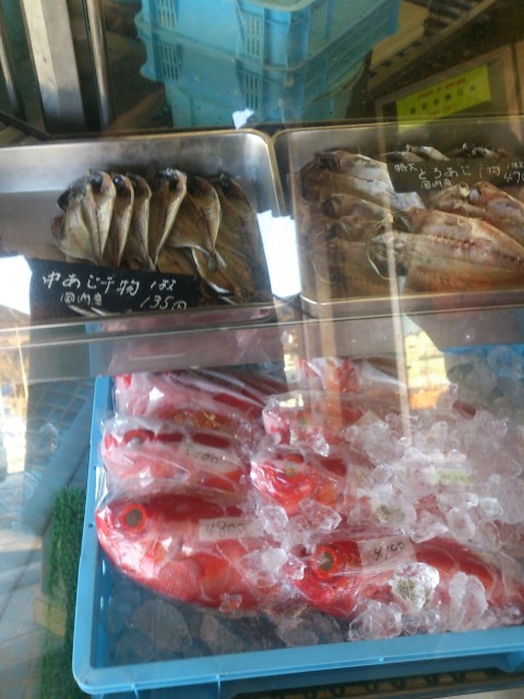 izu2014007.jpg