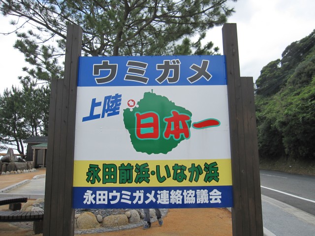 yaku2013_122s.jpg