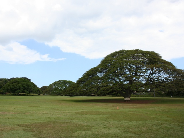 20120516hawaii_081s.jpg