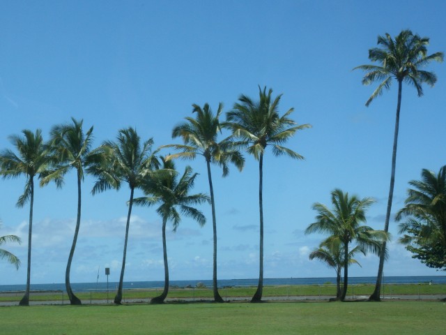 20120516hawaii_208s.jpg